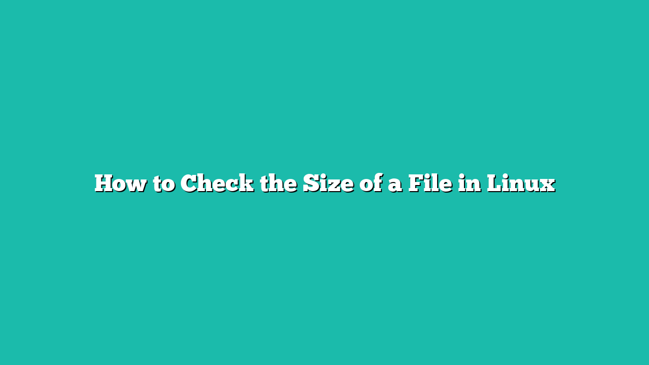 How to Check the Size of a File in Linux