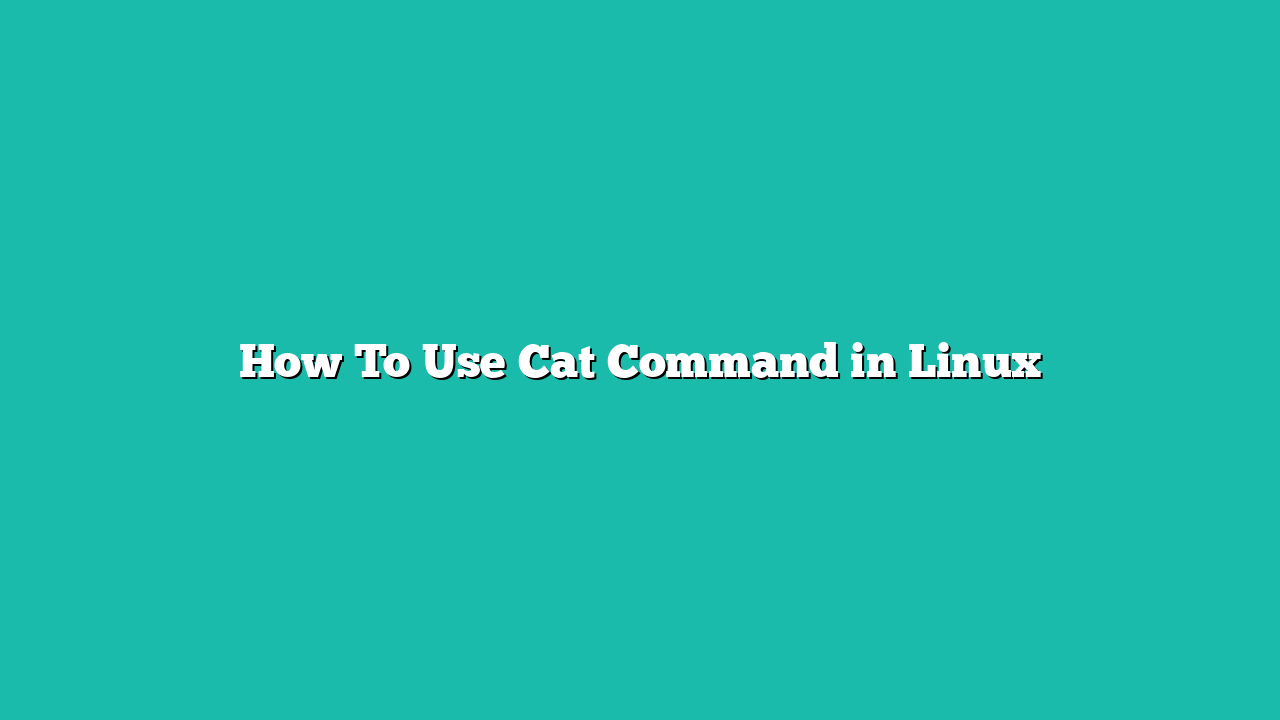 How To Use Cat Command in Linux